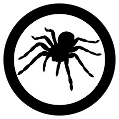 Vector image of spider silhouette