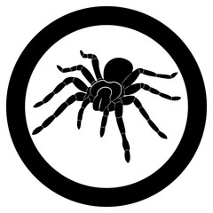 Vector image of spider silhouette