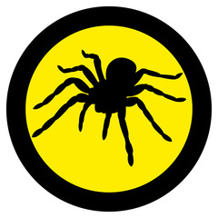 Vector image of spider silhouette