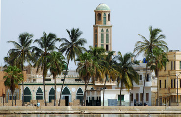 Fototapeta na wymiar Saint Louis , bâtiment et palmiers au bord du fleuve Sénégal