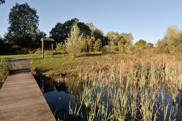 nature lac eau paysage environnement