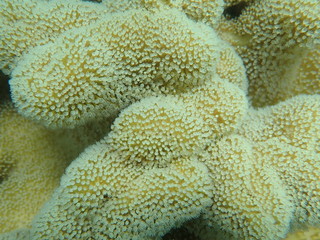 Australia travel holidays