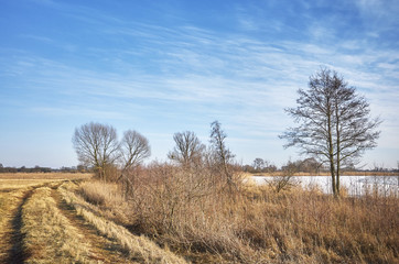 Rural winter landscape with a walking path.