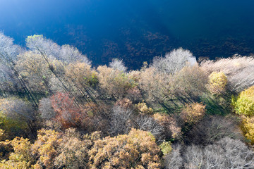 Abstract aerial photograph of an autumnal colored forest at the edge of a blue water surface of a small pond.