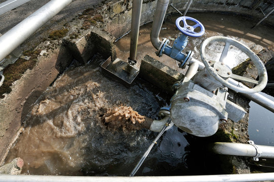 Epuration, station, eau, environnement, boue