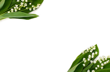 Blume mit Blättern Maiglöckchen (Convallaria majalis), andere Namen: Maiglocken, Maililie, Tränen Unserer Lieben Frau und Tränen Marias auf weißem Hintergrund mit Platz für Text. Ansicht von oben, flach liegend.