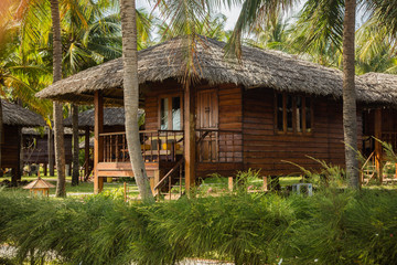 Fototapeta na wymiar hut in a palm grove