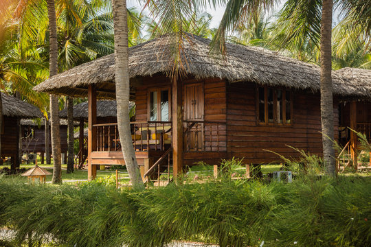 hut in a palm grove
