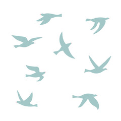 Vector silhouette of a flock of birds.
