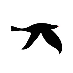 Vector silhouette of bird