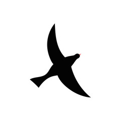 Vector silhouette of bird