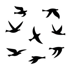 Vector silhouette of a flock of birds.