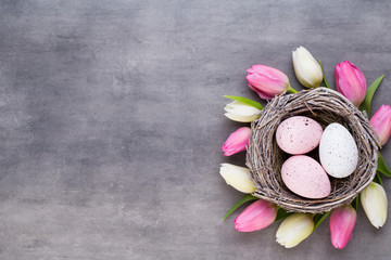 Pink tulip with pink eggs nest on a gray background. Easter greetings card.