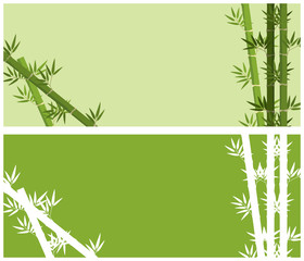 Background design with bamboo trees