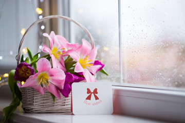 Greeting card and tender bouquet of beautiful pink tulips in white basket near window with raindrops in the daylight