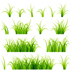 Green grass set isolated on white background vector