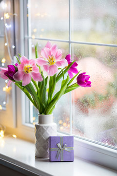 Gift box and tender bouquet of beautiful pink tulips in white vase near window with raindrops in the daylight