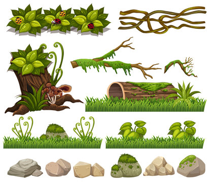Nature elements with grass and rocks