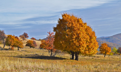 Autumn landscape, Transylvania