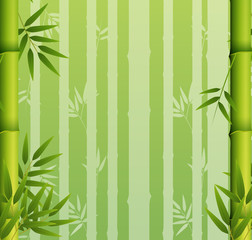 Background design with green bamboo