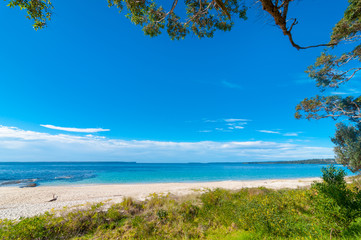 Fototapeta na wymiar Beautiful tropical white sand beach in blue lagoon and blue sky space. Australia, Hyams Beach, NSW