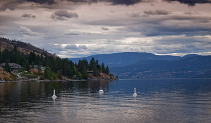 Bertram Creek Regional Park, Kelowna