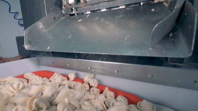 Meat dumplings are being dropped to a tray which is located in a container and is later being removed 