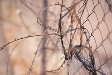 An abstract closeup of a messy tangle of barbed wire fencing