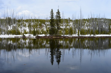 Spring in Yellowstone National Park