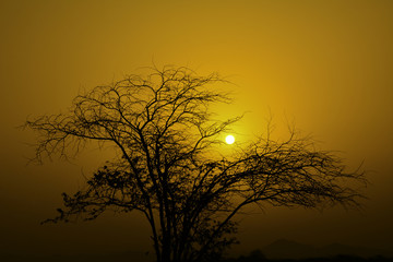 Fototapeta premium sunset