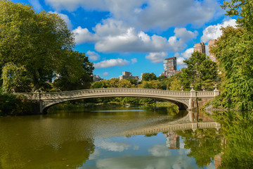 Obraz premium Bow bridge, Central Park New York
