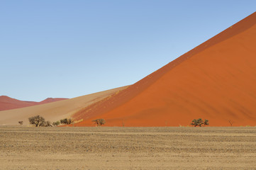 Fototapeta na wymiar Dunes in the Namib Desert / Dunes in the Namib Desert to the horizon, Sossusvlei, Namibia, Africa.