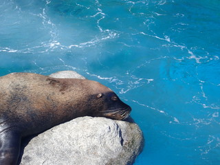 Obraz premium Australia travel holidays