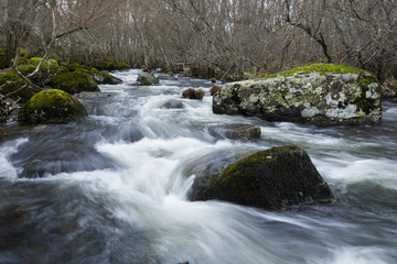 Long exposure of a mountain river in the middle of an oak forest