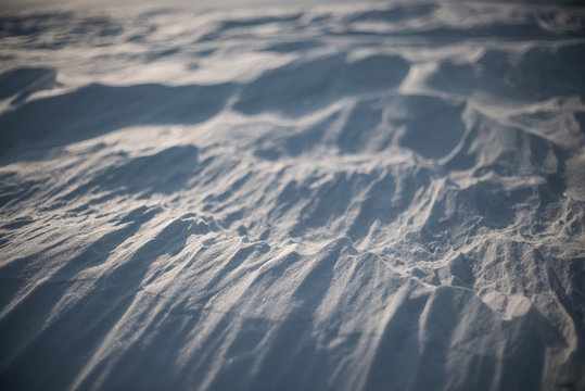 after Arctic Storm. Close-up shot of snow desert in Odessa