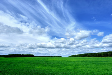 Fototapeta premium Небо