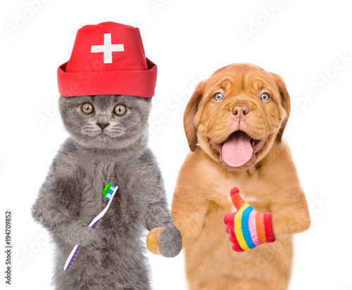 funny kitten in medical hat with toothbrush and puppy showing thumbs