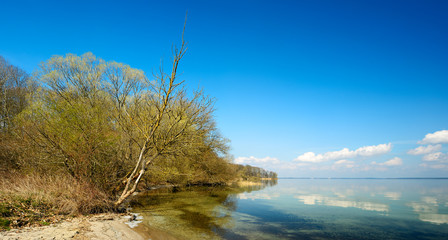 Unberührte Natur am Ufer der Müritz, Bäume und Schilf, Wolken spiegeln sich