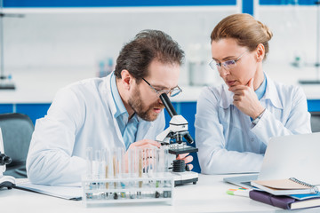 portrait of scientific researchers in white coats working together at workplace with microscope  in laboratory