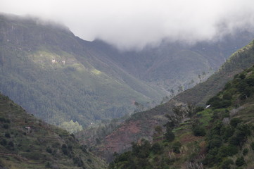 Fototapeta na wymiar Madeira Inselinnere 2