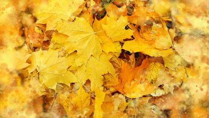 Bright abstract autumn background from fallen leaves of maple