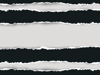 Fototapeta premium Ripped paper long double 2 vector