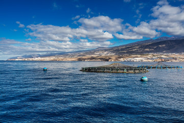 Offshore fish farms clustered around the west coast of Tenerife, Spain. Sea bass and common bream are cultured in these breeding cages. This form of aquaculture is common around the Canaries.