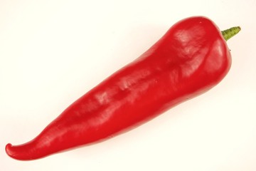 Big red pepper on a white background
