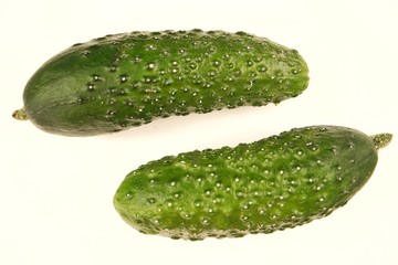 Two cucumbers on a white background
