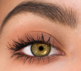 bel oeil féminin