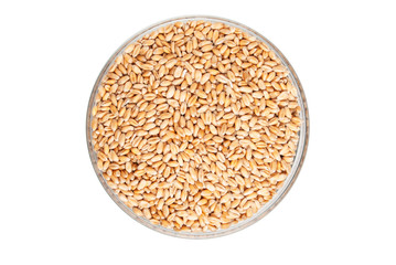 Wheat seeds in a bowl top view on white background