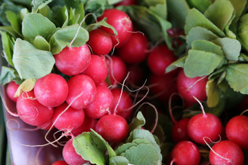 Cultivated radish at market