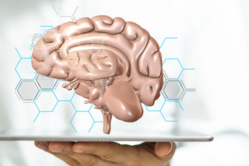 brain idea