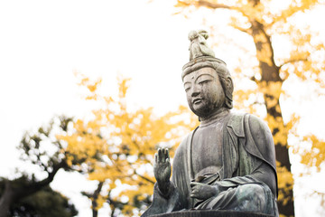 Buddha statue in asakusa temple Tokyo,Japan